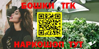 крисы Нальчик